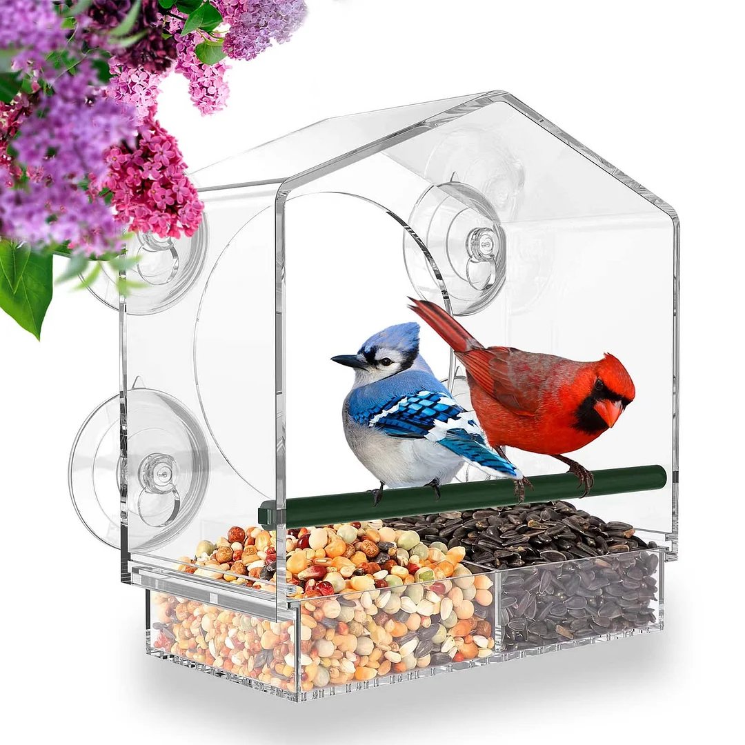 Breezy Window Bird Feeder | Clear Acrylic, Strong Suction Cups 0