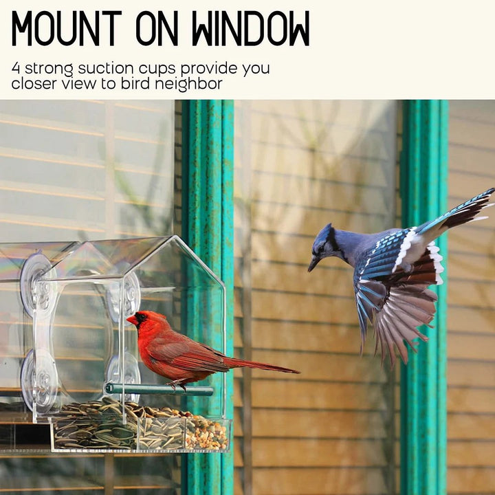 Breezy Window Bird Feeder | Clear Acrylic, Strong Suction Cups 1