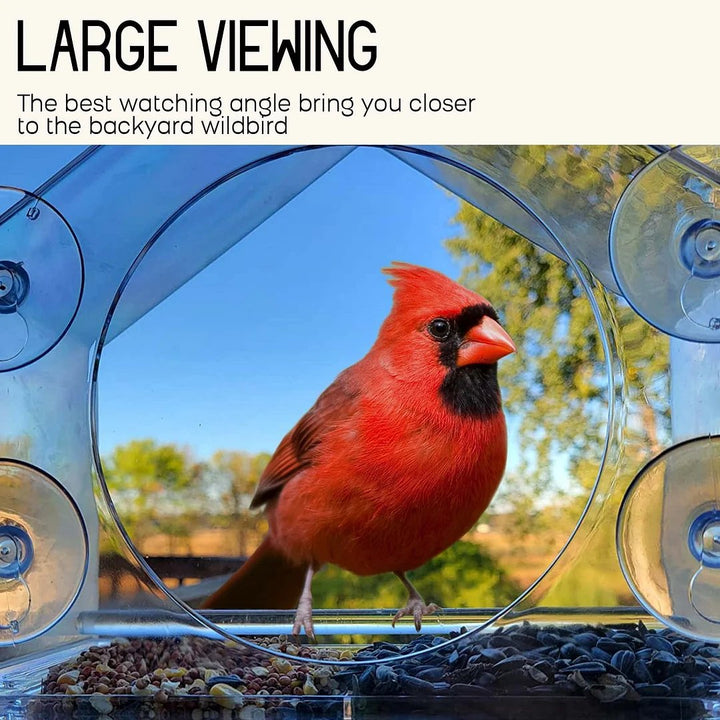 Breezy Window Bird Feeder | Clear Acrylic, Strong Suction Cups 2