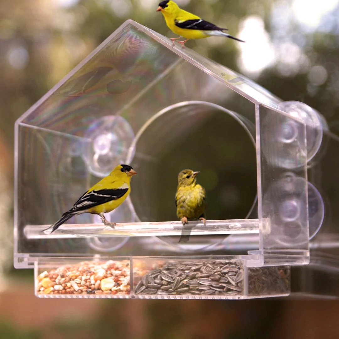 Breezy Window Bird Feeder | Clear Acrylic, Strong Suction Cups 5