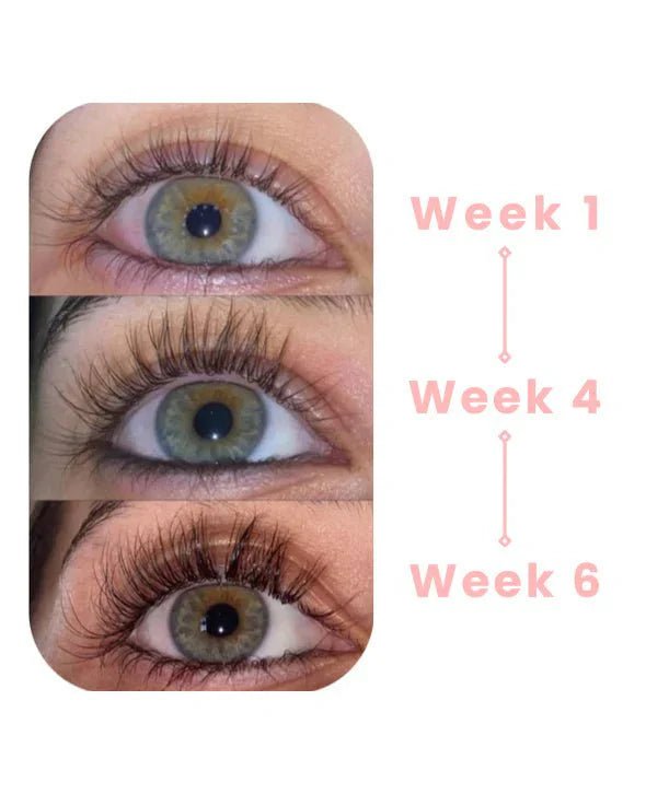 LashSurge Serum | Natural Eyelash Growth Serum for Fuller, Healthier Lashes 1