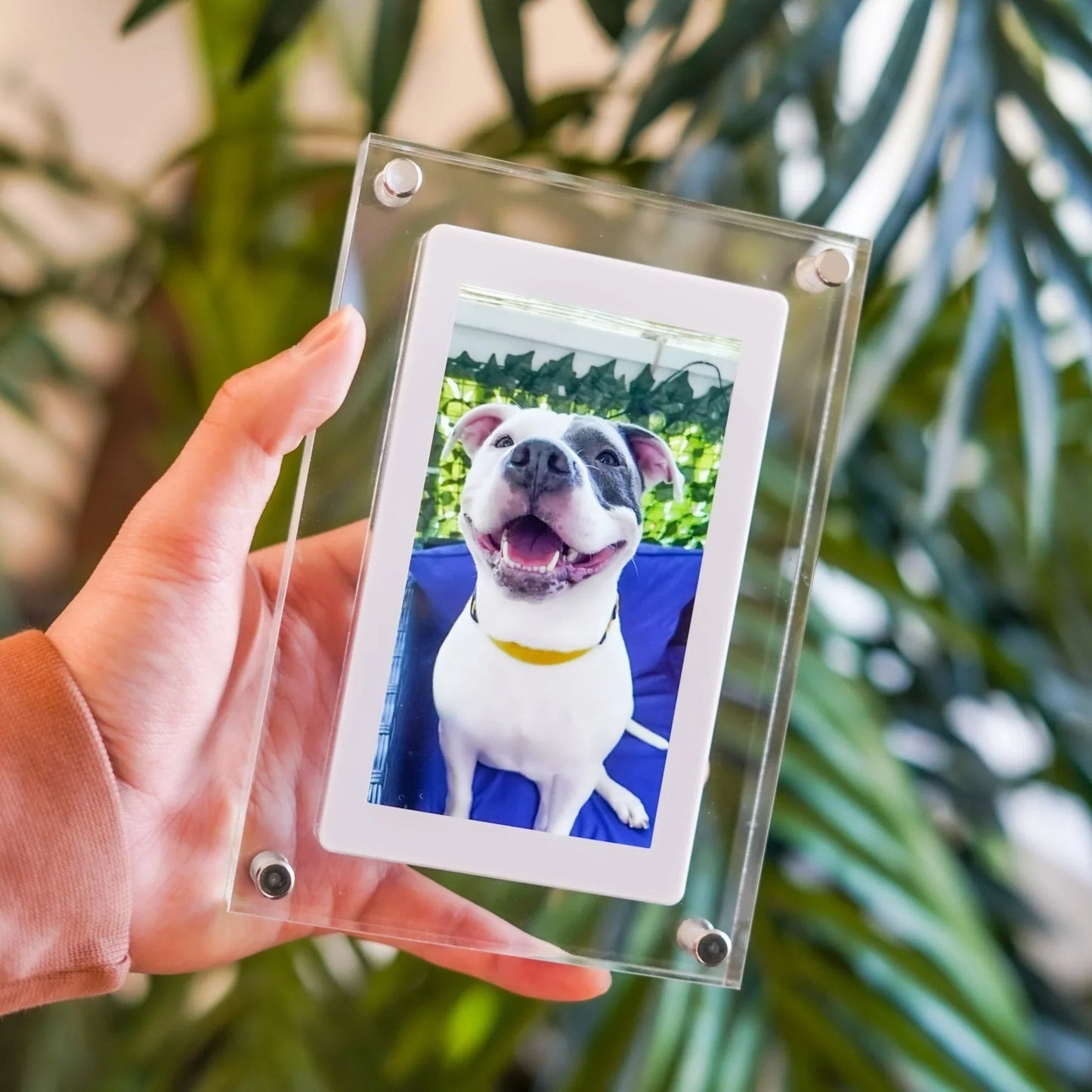 Melo Digital Photo Frame | 5-Inch Transparent Display, Easy Uploads 1