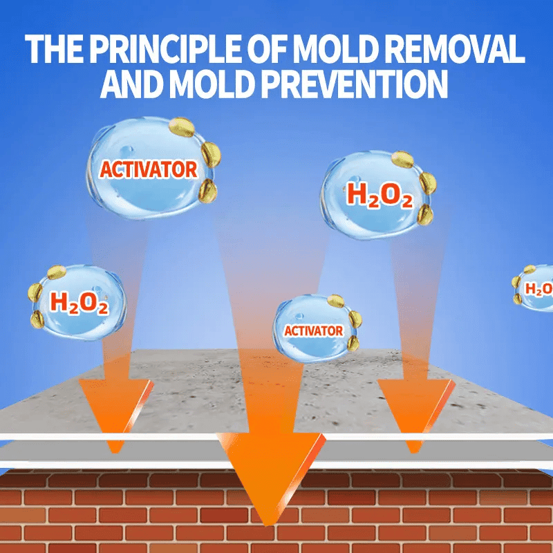 MoldGuard Pro | Non-Toxic Mold Removal Solution, Deep Cleaning Action 3