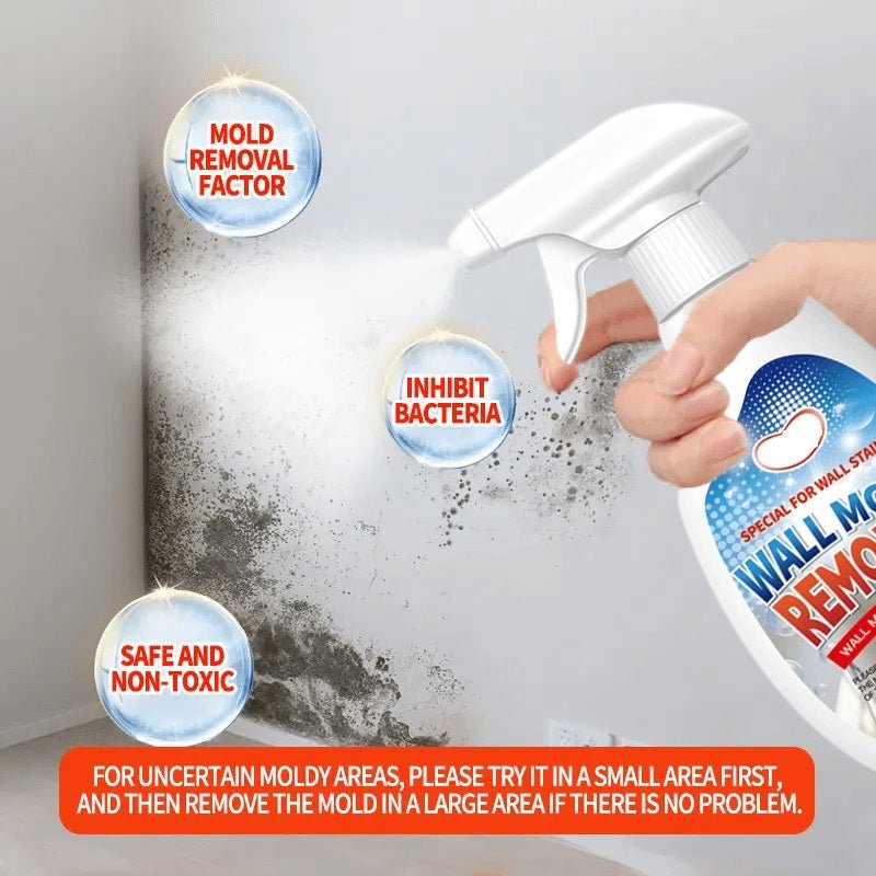 MoldGuard Pro | Non-Toxic Mold Removal Solution, Deep Cleaning Action 4