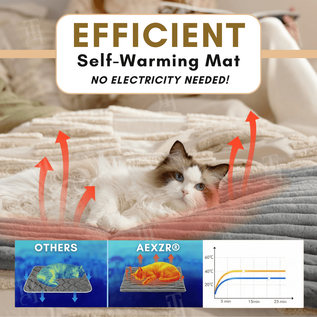 Rover Pet Mat | Chew-Proof, Insulated Warmth 2