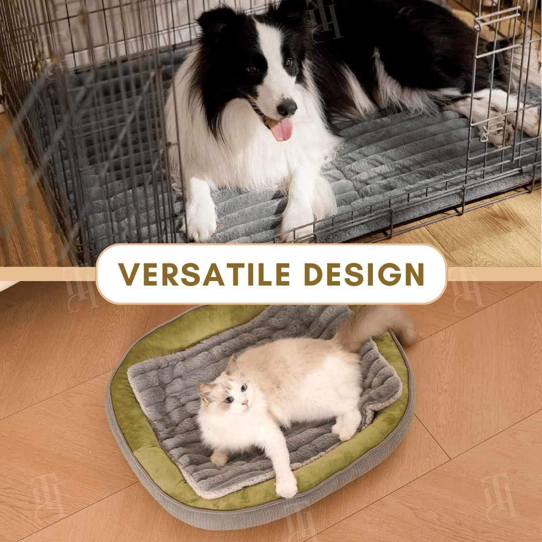 Rover Pet Mat | Chew-Proof, Insulated Warmth 4