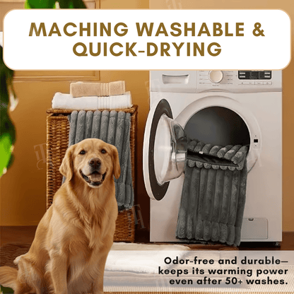 Rover Pet Mat | Chew-Proof, Insulated Warmth 6