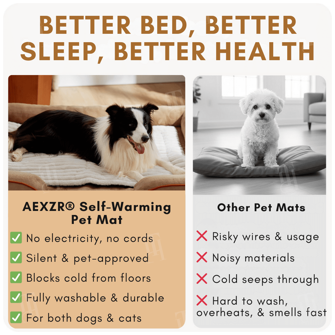 Rover Pet Mat | Chew-Proof, Insulated Warmth 7