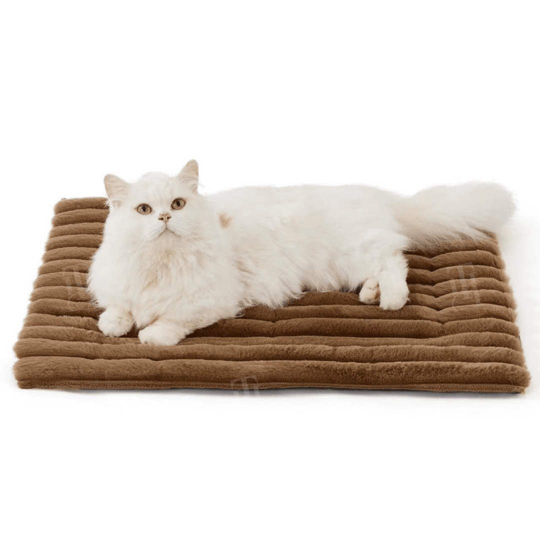 Rover Pet Mat | Chew-Proof, Insulated Warmth 8