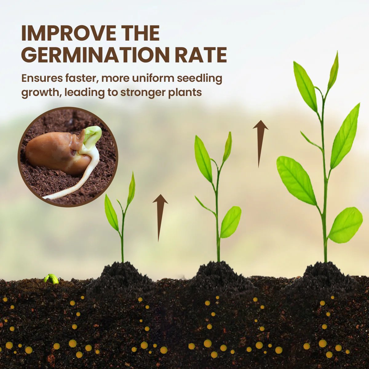 Sola Surge Soil Booster | Organic Nutrient Formula for Rapid Plant Growth 1