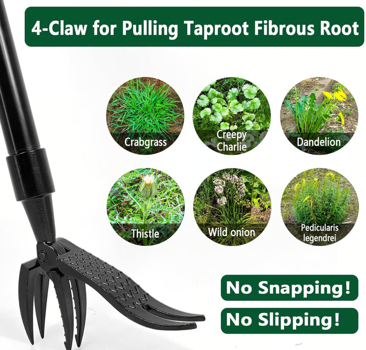 Wanda Garden Tool | Ergonomic Weed Remover with Four-Claw Grip 2