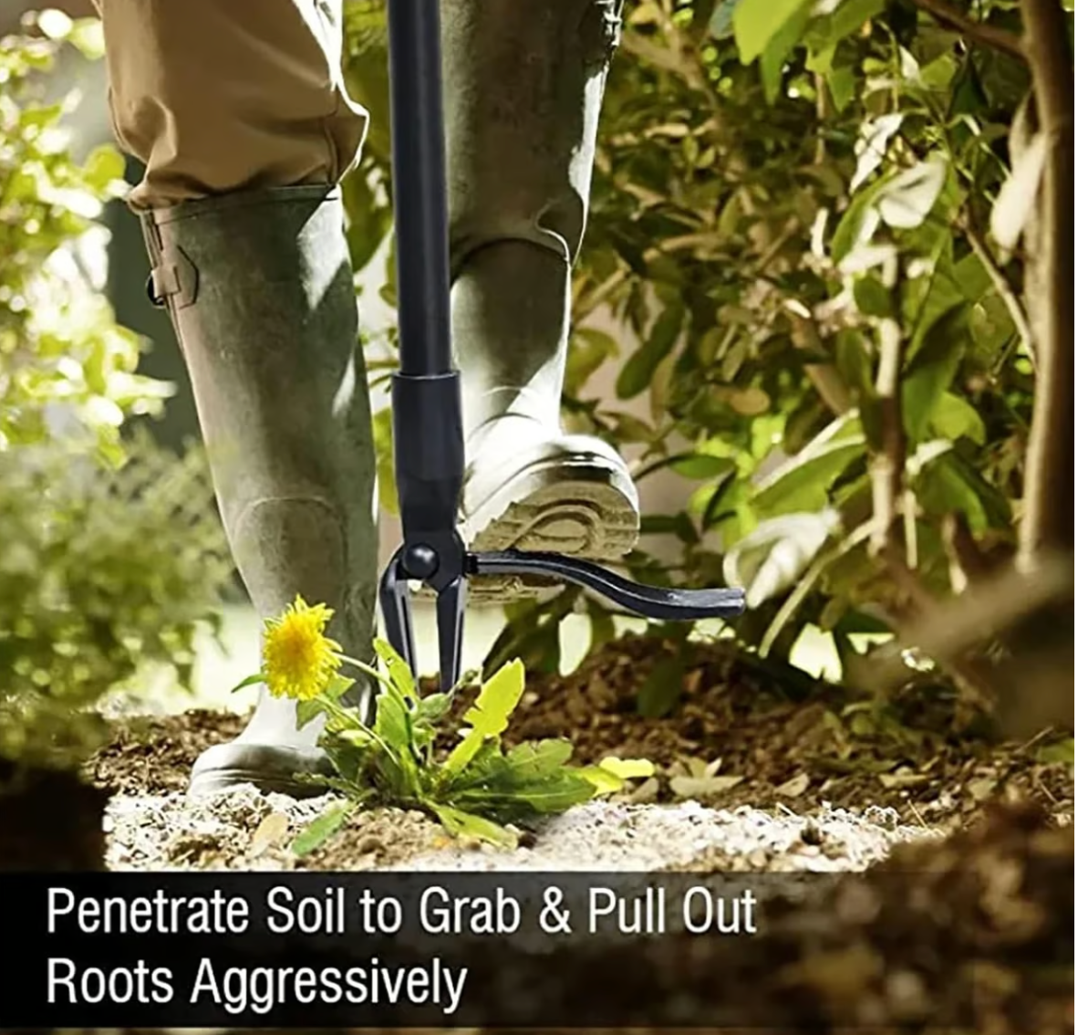 Wanda Garden Tool | Ergonomic Weed Remover with Four-Claw Grip 3