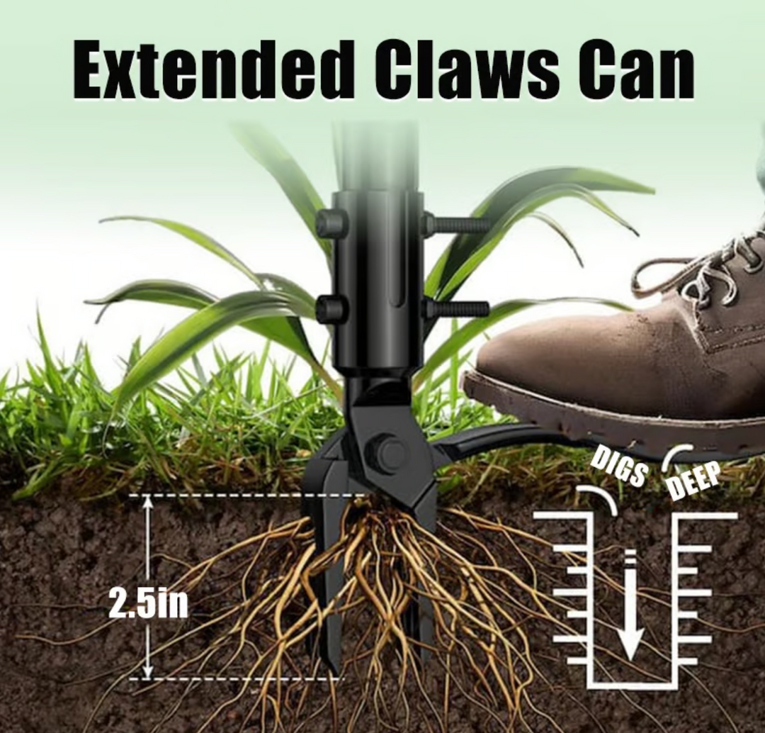 Wanda Garden Tool | Ergonomic Weed Remover with Four-Claw Grip 4