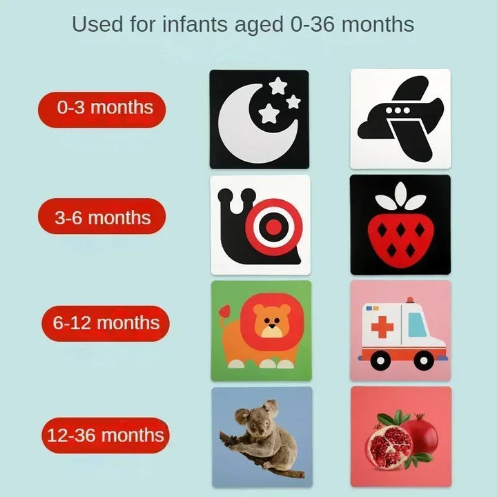 Age-stage guide showing sample picture cards for babies from birth to 36 months