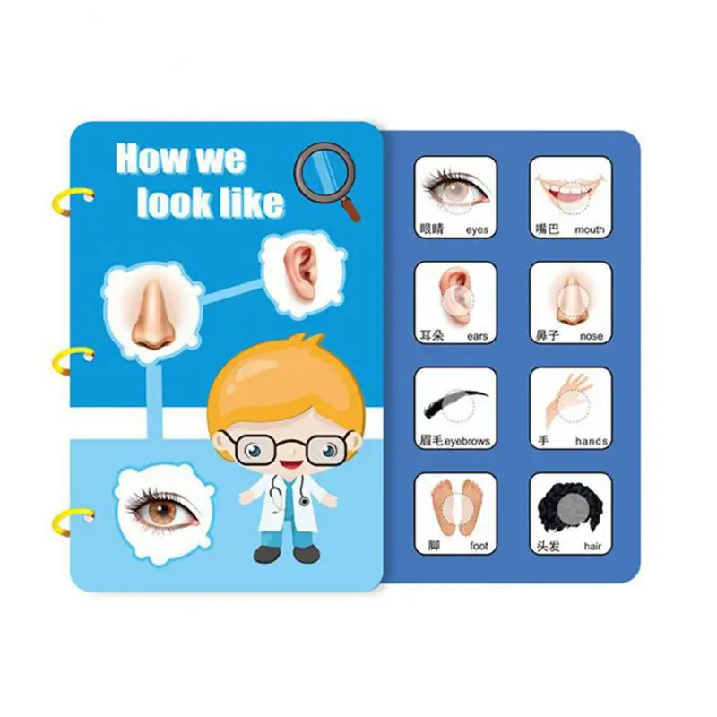 Body activity book with labeled pictures of eyes, a mouth, ears, a nose, hands, feet, and hair