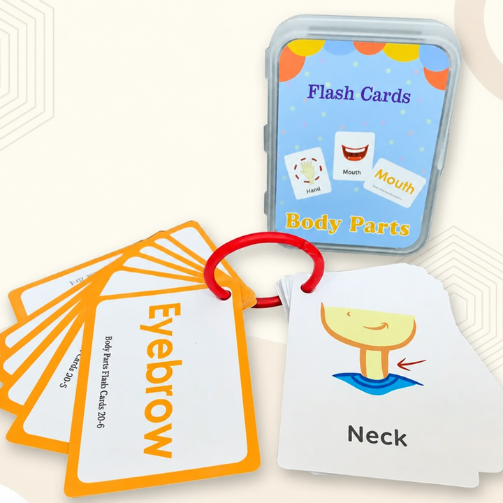 Body part flash cards showing eyebrow and neck, with a ring and storage case.