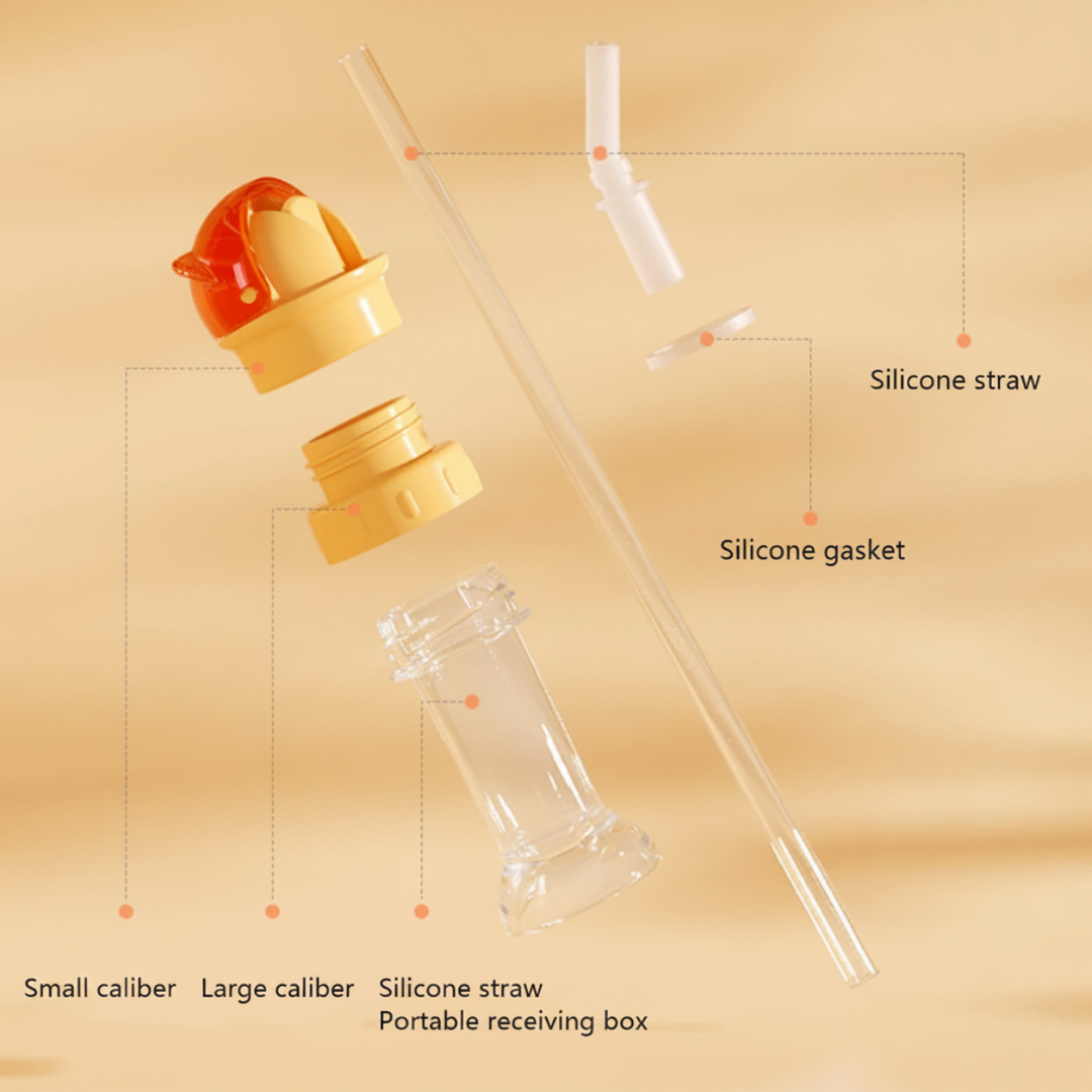 Exploded diagram showing the cap, adapter, silicone straw, gasket, and clear storage case.