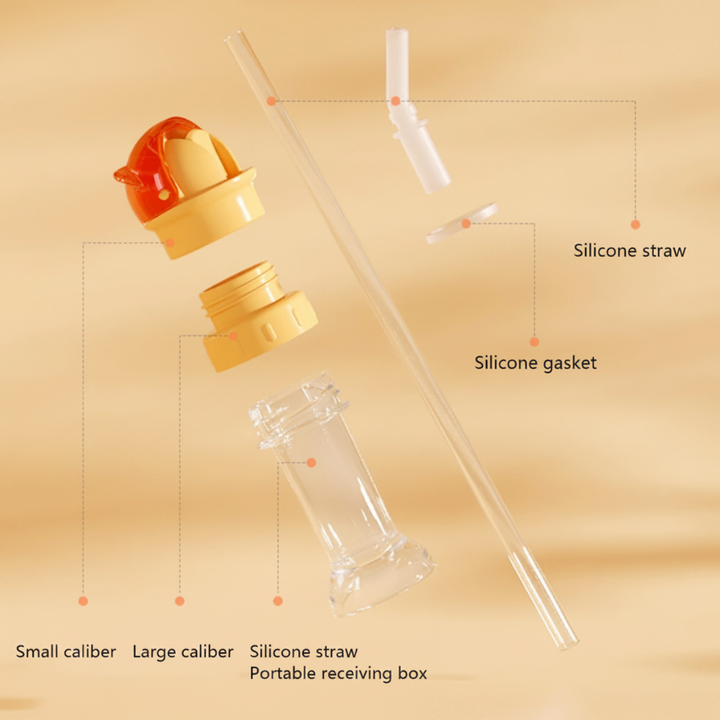 Exploded diagram showing the cap, adapter, silicone straw, gasket, and clear storage case.