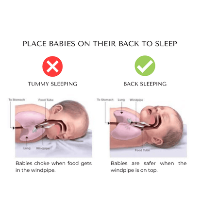 Brightrest Infant Neck Support Pillow Product Image 03