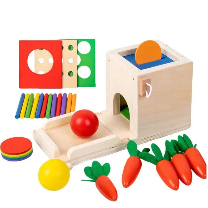 Carrot and coin-sorting drop box set with activity panels, colored sticks, and two balls