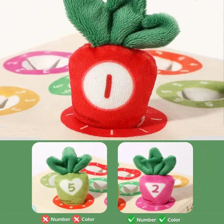 Number and color matching examples with plush carrots and a numbered garden board
