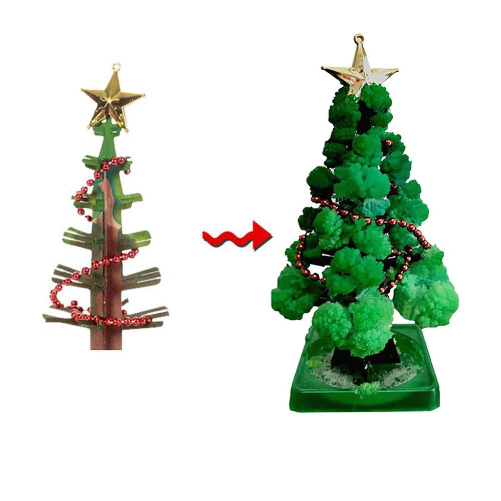 Cardboard Christmas tree before and after its branches develop fluffy green growth