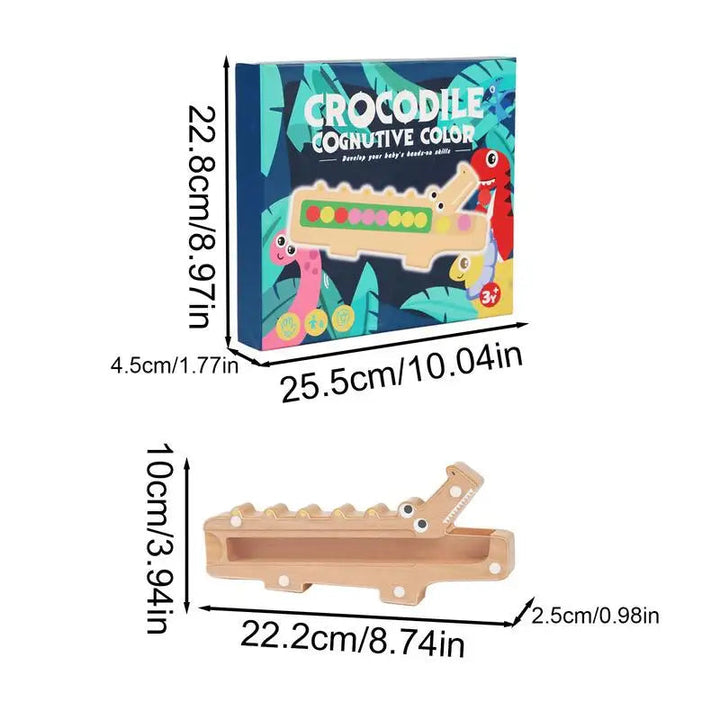 Dimensions diagram of the wooden crocodile sorting board and its box