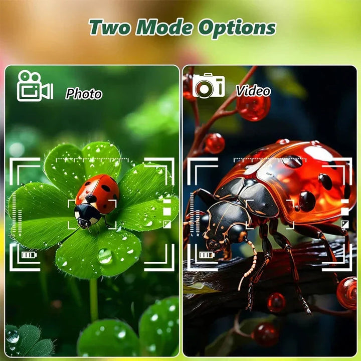 Photo and video mode illustrations featuring a ladybug.