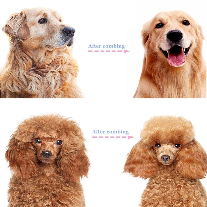 Dual Coat Grooming Rake Deshedding Brush Product Image 09