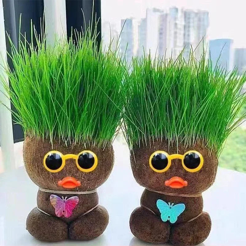 Two duck-style grass heads with yellow glasses and orange bills beside a window