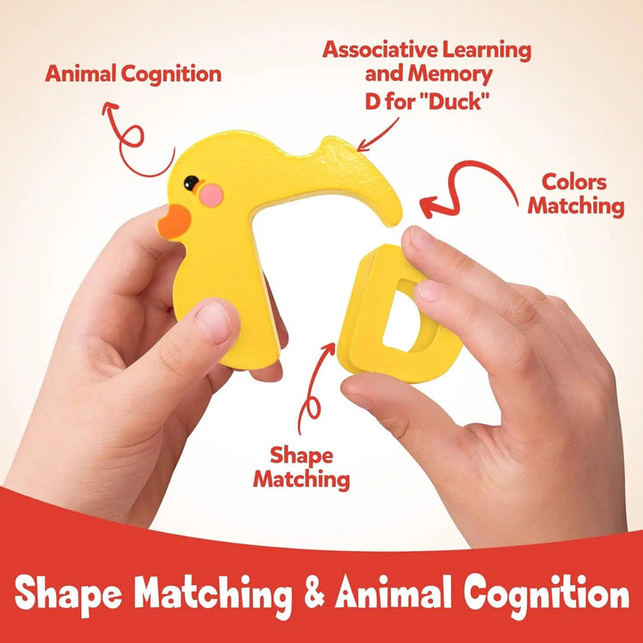 Hands holding a yellow duck puzzle and its removable D letter.