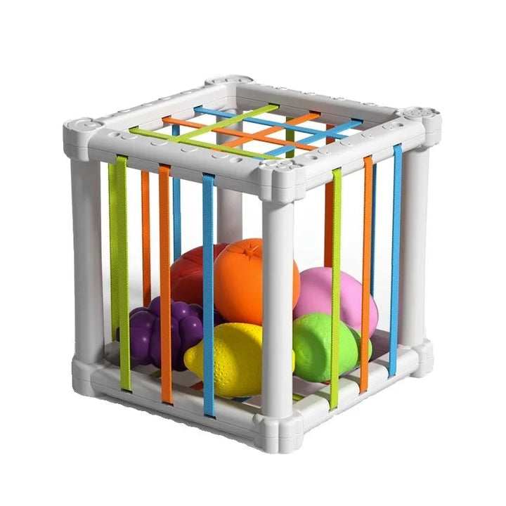 White cube with multicolored bands holding six toy fruits