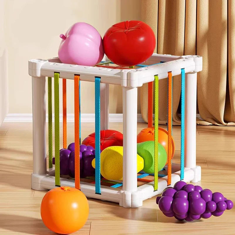 White sorting cube with colorful bands and play fruit arranged inside, on top, and beside it