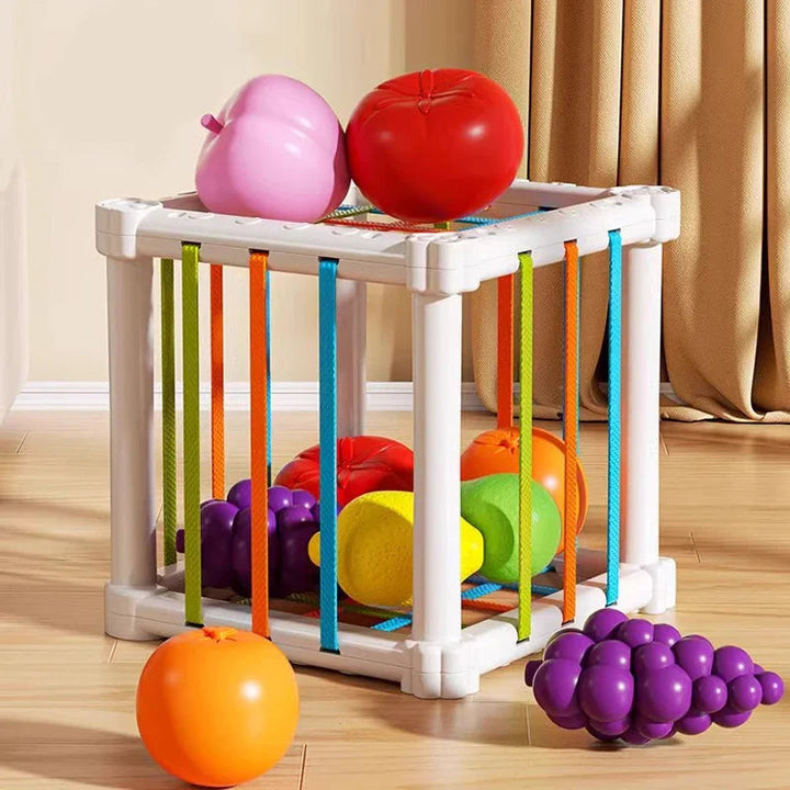 White sorting cube with colorful bands and play fruit arranged inside, on top, and beside it