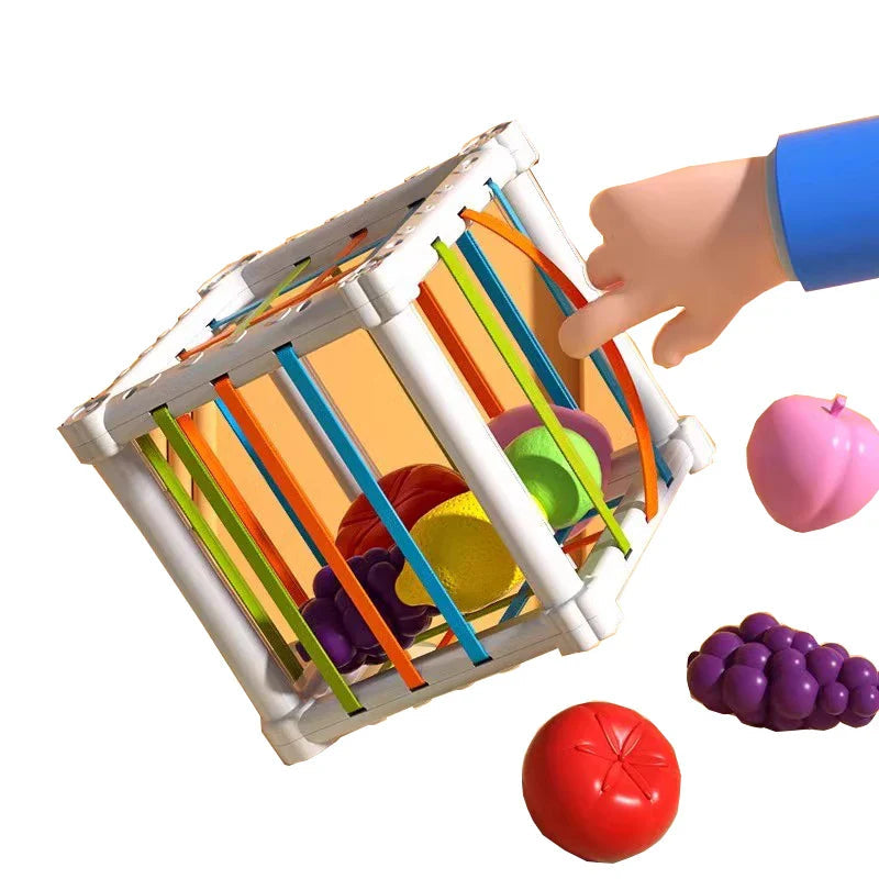 Illustrated hand reaching through the colored bands of a tilted fruit sorting cube
