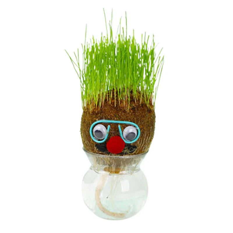 Grass head with blue glasses and a red nose set above a clear water container