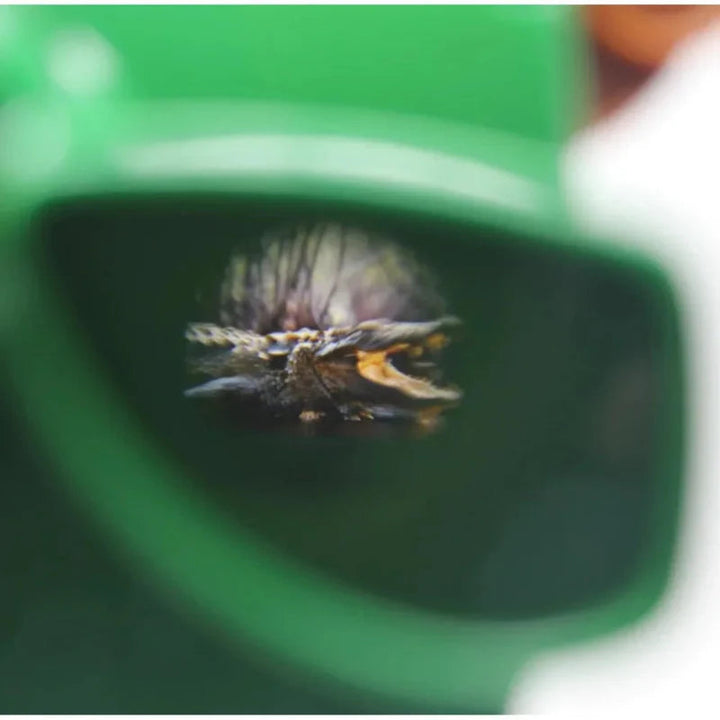 Close-up of a scene visible through a green 3D viewer&