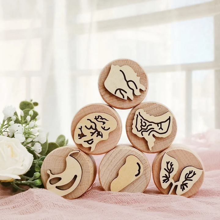 Six body-themed wooden clay stamps arranged in a stack, including brain and lung designs.