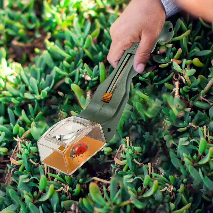 Hand holding a bug catcher with a ladybug in its clear chamber above green plants