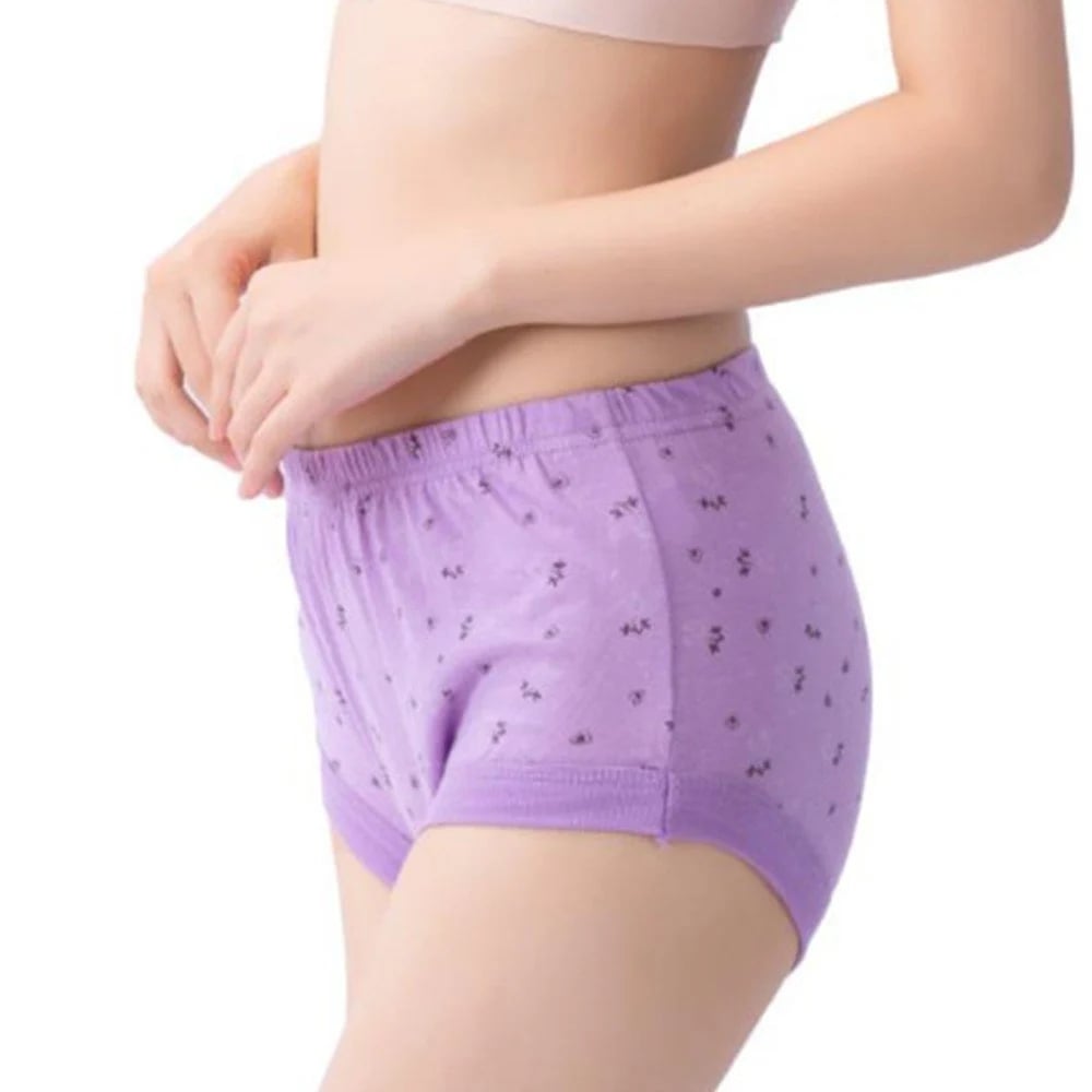 Luna Cotton Plus Size High Waist Briefs Product Image 06