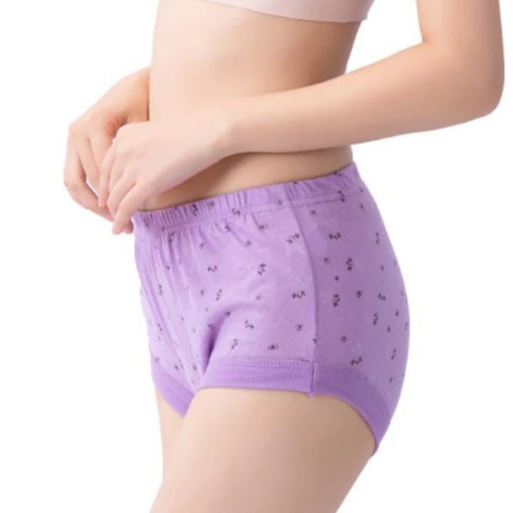 Luna Cotton Plus Size High Waist Briefs Product Image 06