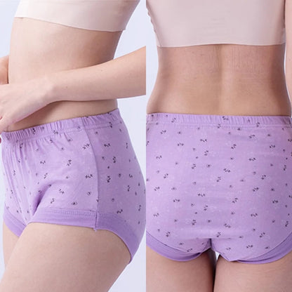 Luna Cotton Plus Size High Waist Briefs Product Image 08