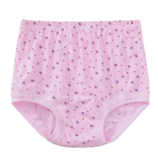 Luna Cotton Plus Size High Waist Briefs Product Image 10