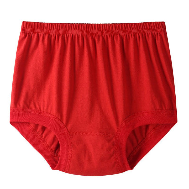 Luna Cotton Plus Size High Waist Briefs Product Image 15