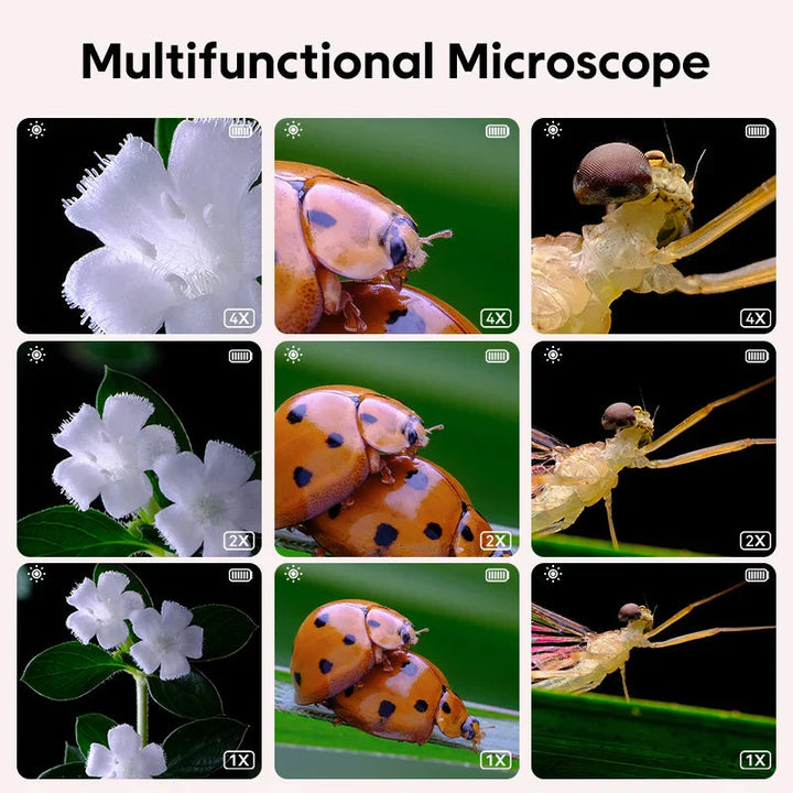 Comparison grid showing flowers, a ladybug and another insect at different close-up levels
