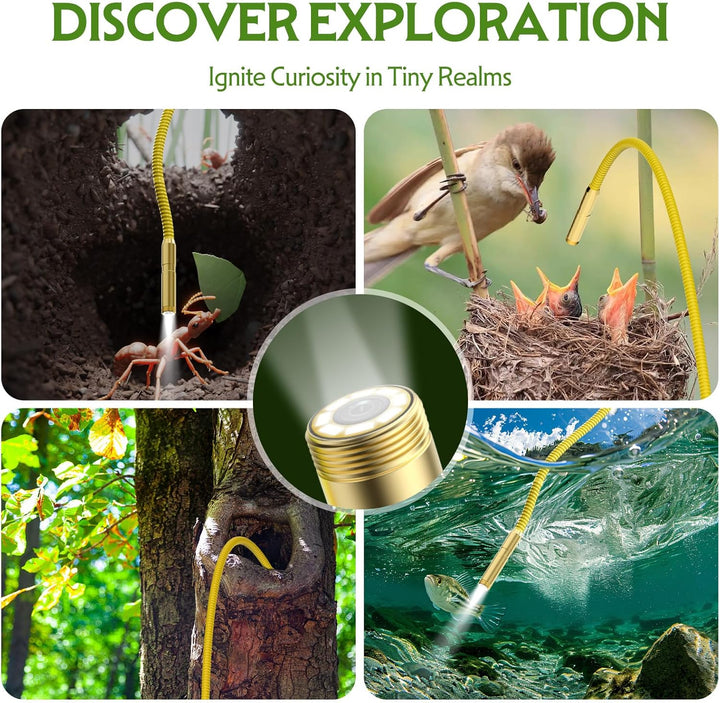 Endoscope exploration examples showing tree hollows, a bird&