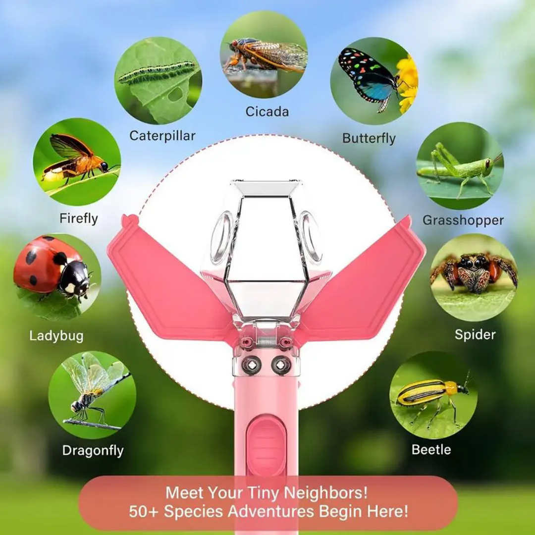 Open pink insect catcher surrounded by labeled insects and a spider
