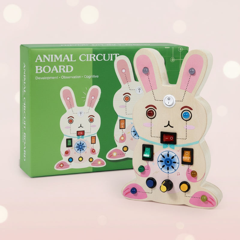 Rabbit LED activity board displayed beside its green illustrated box