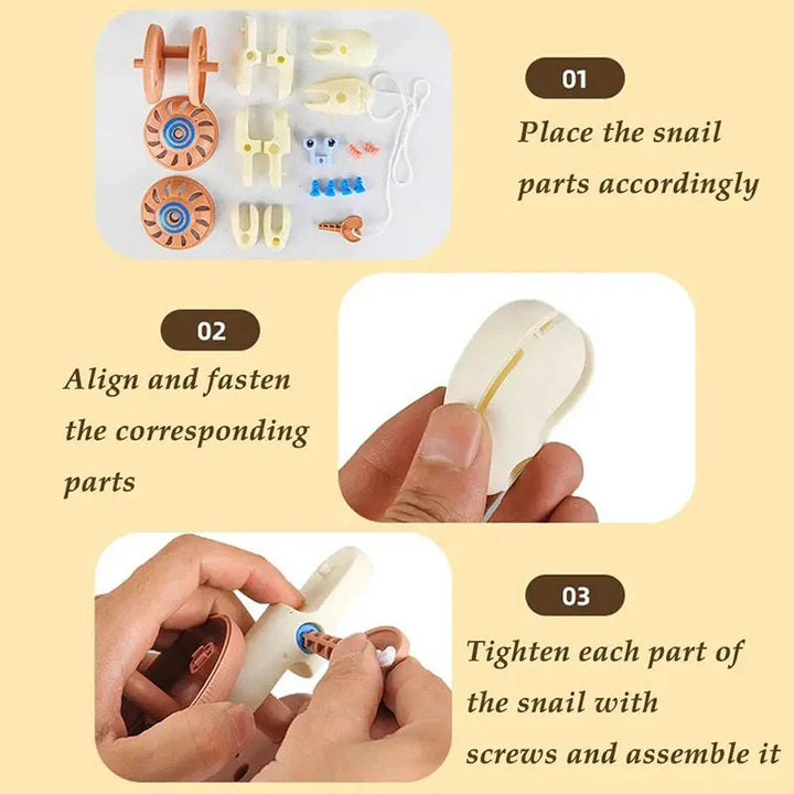 Three assembly steps showing snail parts, body alignment, and fastening a blue screw