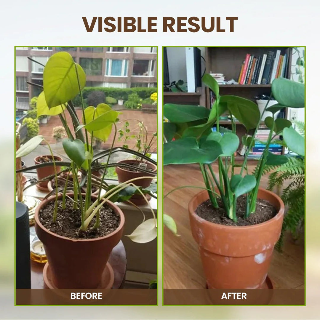 Sustained Plant Nutrient Booster Product Image 06